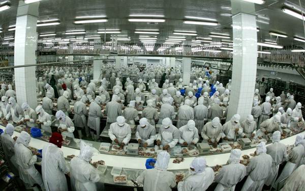 中国食品加工企业发展战略市场分析及发展趋势研究报告(2009)
