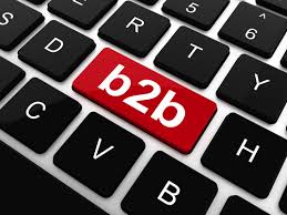 什么是水平b2b电子商务