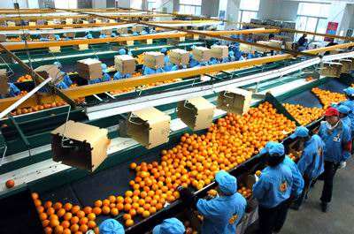 陕西省加快果业生产全程机械化建设