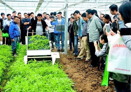 北京推进蔬菜生产全程机械化