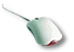 公司主站