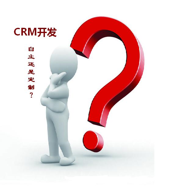 CRM开发：自主还是定制