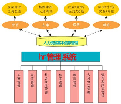 “hr 管理系统”之人才管理