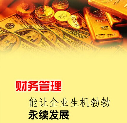 财务管理软件