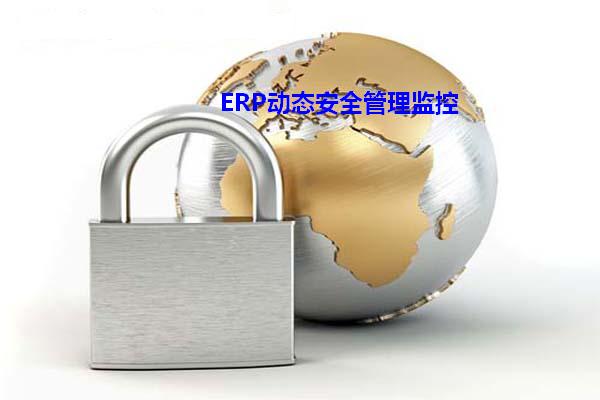 ERP动态安全管理监控