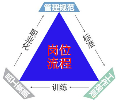 规范流程