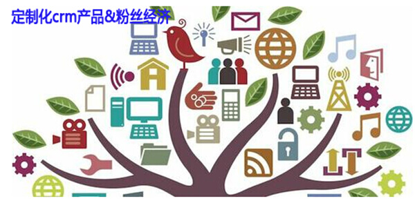 定制化crm产品实现粉丝经济零门槛
