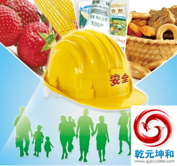 电子监察