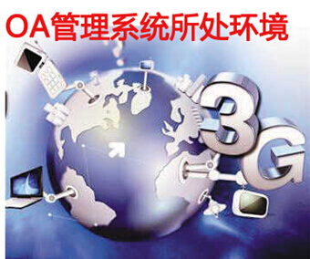 OA管理系统所处环境
