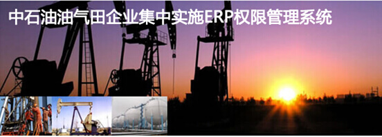 中石油油气田企业集中实施ERP权限管理系统