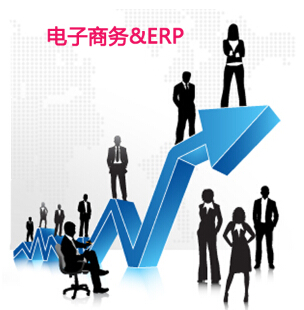ERP在电子商务中应用体现