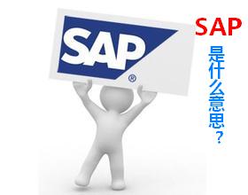 SAP是什么意思