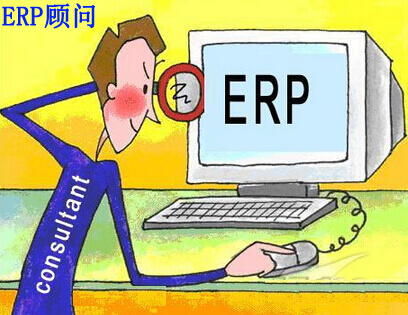 ERP顾问