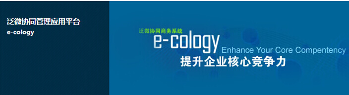 泛微协同管理平台(e-cology)