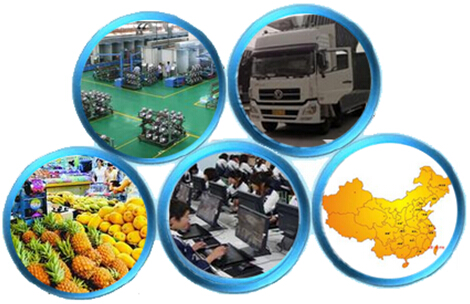 解析物流供应链如何实现零售新核心价值