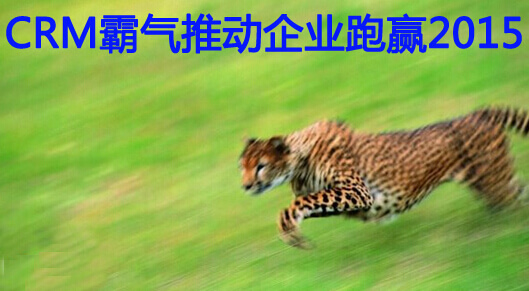 CRM霸气推动企业跑赢2015