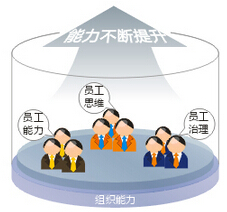 人力资源组织能力管理