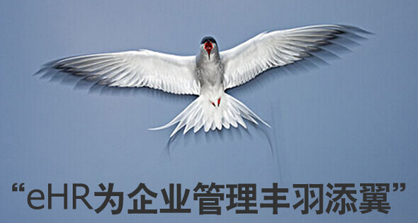 为什么说e-HR软件是人力资源管理信息化的未来