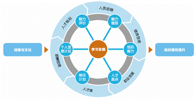 企业最需要什么样的HR软件