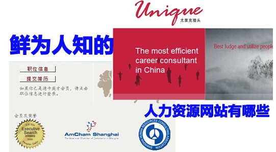 鲜为人知的人力资源网站有哪些