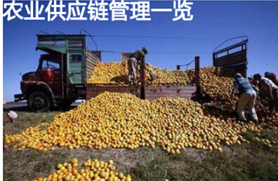 农业供应链管理