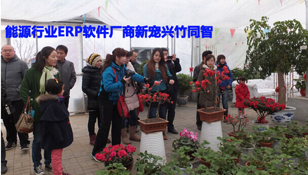 能源行业ERP软件厂商新宠