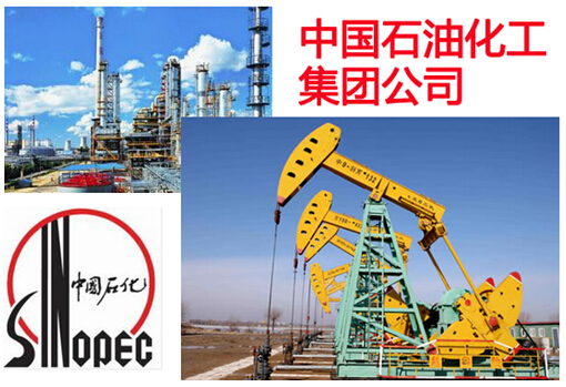 中国石油化工集团公司
