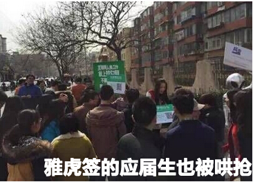 雅虎签的应届生也被哄抢