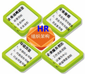 人力资源规划中的组织架构模式