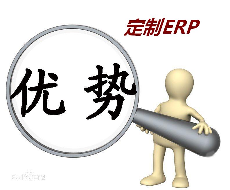 定制ERP