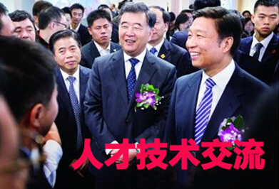 精英人才技术交流