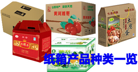 纸箱种类展览