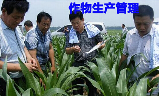 我国农作物生产管理