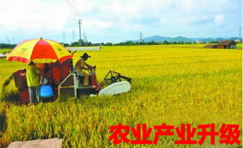 农业产业升级
