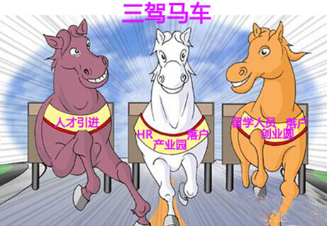 春季人才交流会龙岗三驾马车动力十足