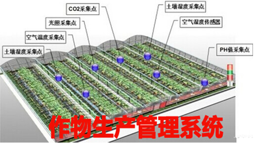 作物生产管理系统