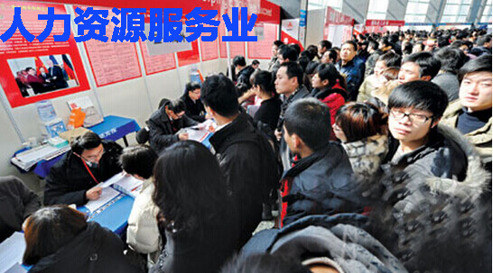 人力资源服务业