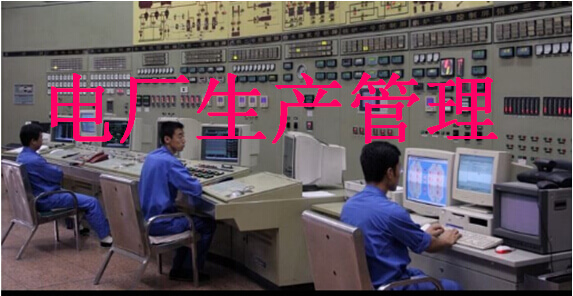 电厂 生产管理