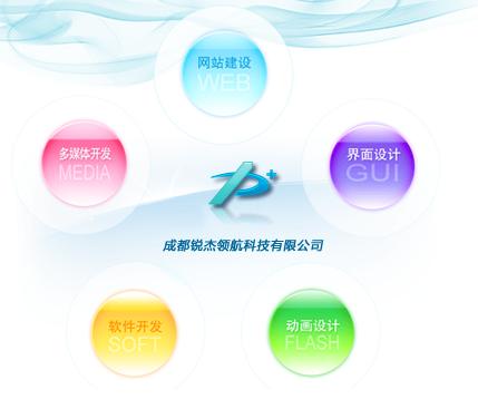 专业网页制作