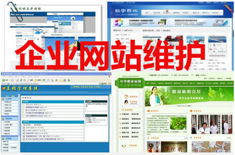 企业网站维护