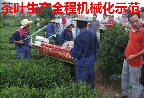 茶叶生产全程机械化