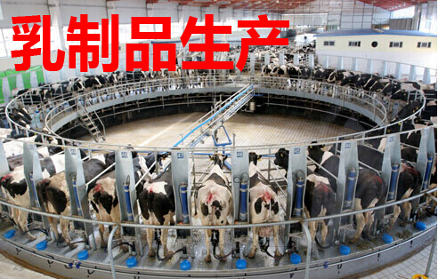 乳制品生产