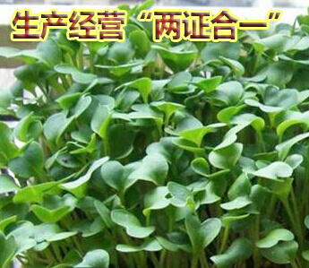 生产经营“两证合一”