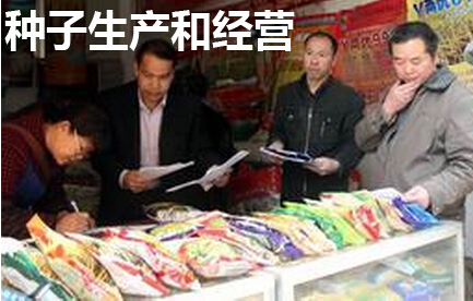 种子生产和经营