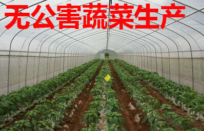 无公害蔬菜生产