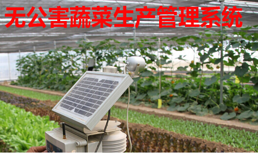 无公害蔬菜生产管理系统