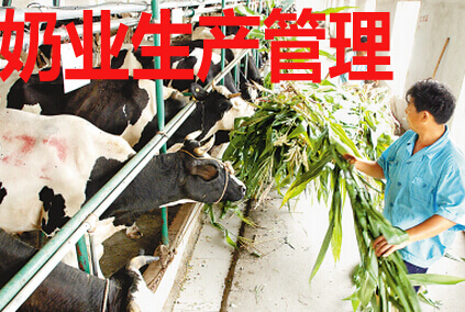 奶业生产管理