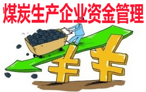 煤炭生产企业资金管理