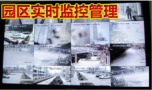 园区实时监控管理