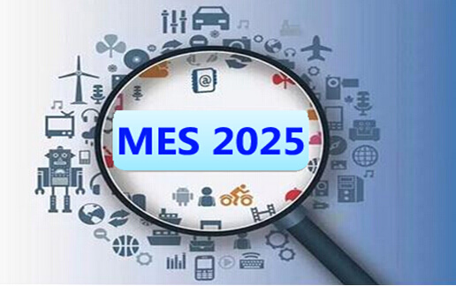 MES 2025